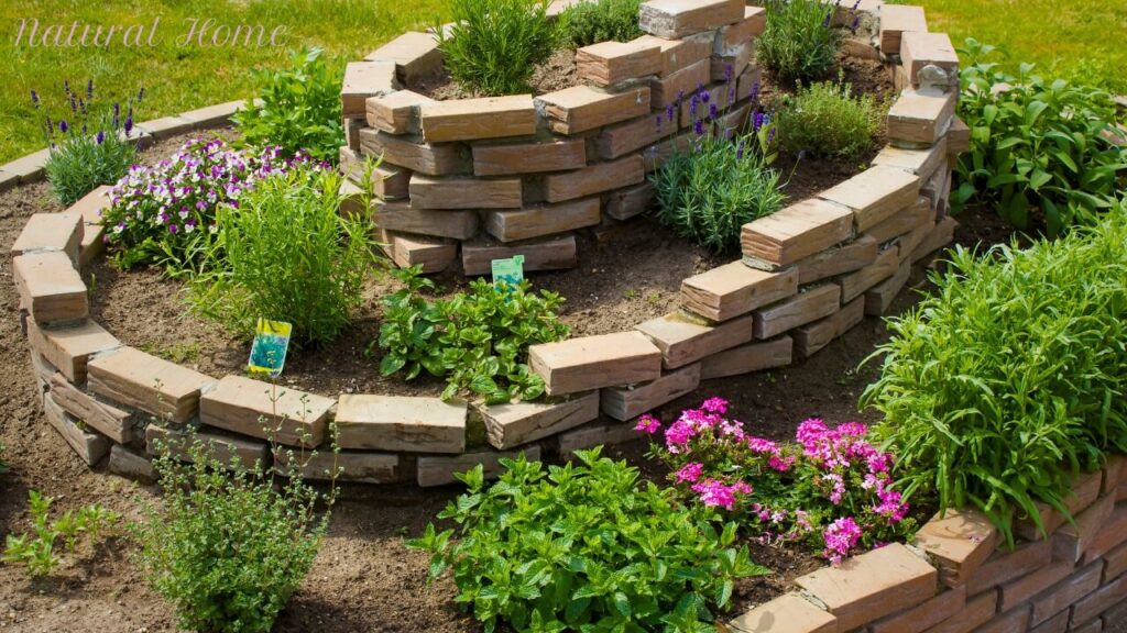 spiral herb planter ideas
