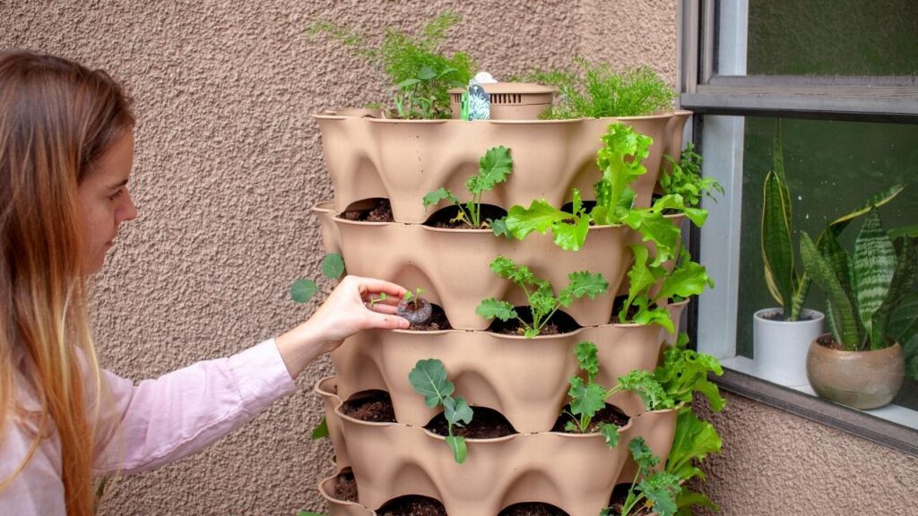 woman planting herbs in vertical planter