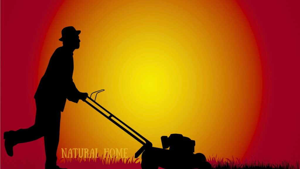 how to choose a lawn mower