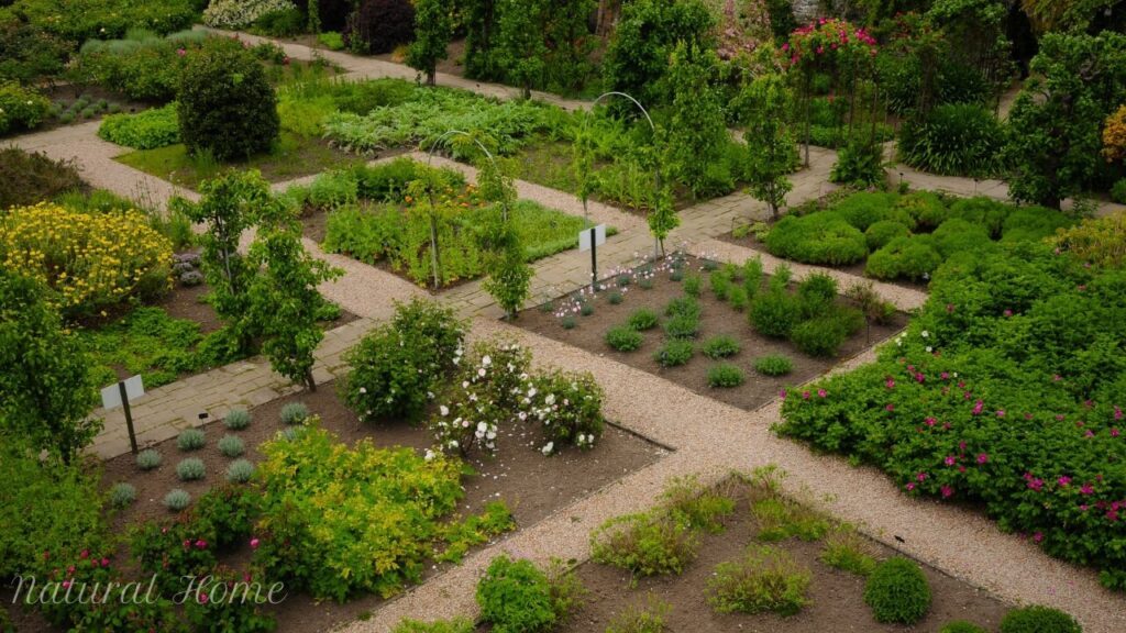 kitchen herb garden diy