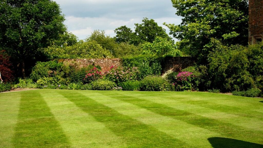 perfect stripy lawn in garden