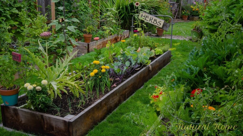 raised herb garden diy