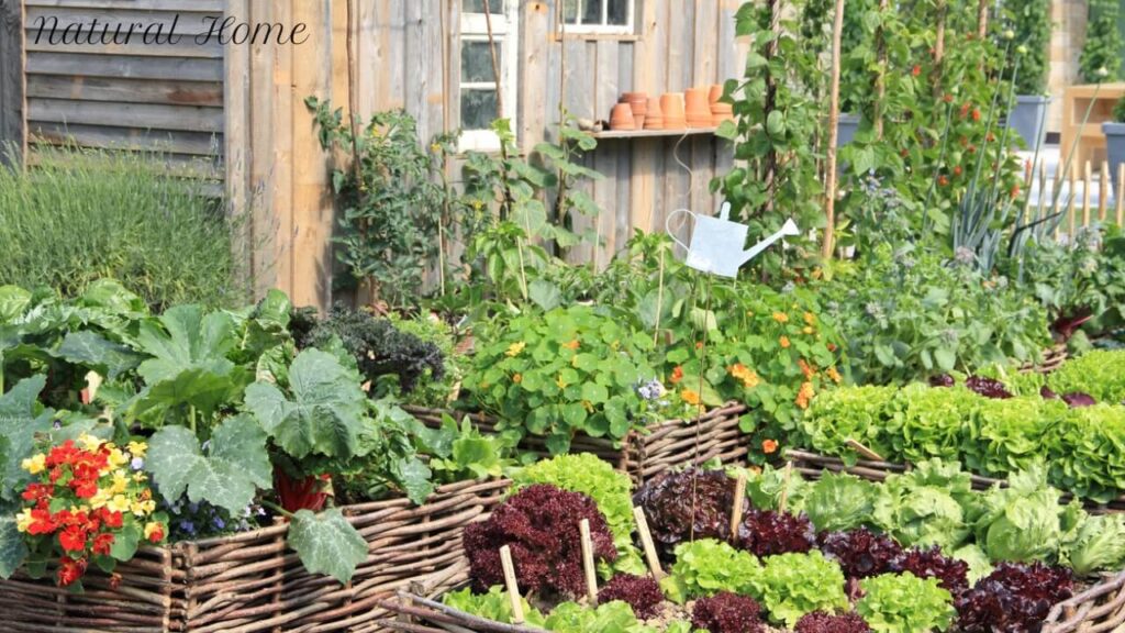 mini herb garden ideas