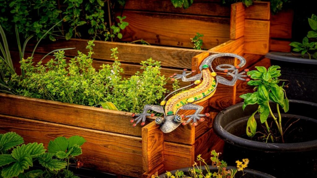 herbs planted in tiered beds