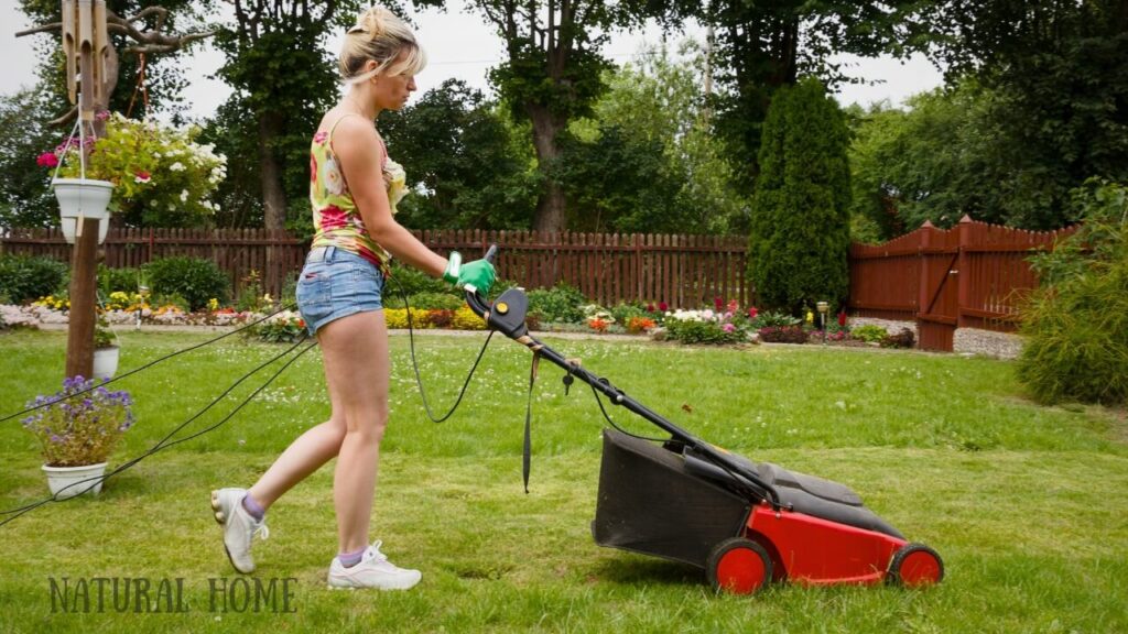 types of lawn mower