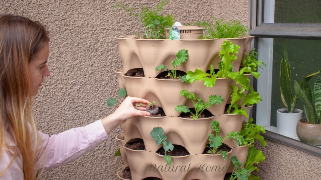 vertical herb garden planter ideas