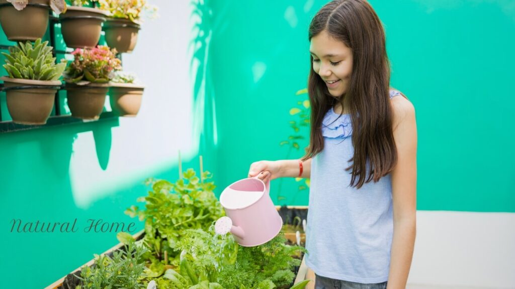 wild herb garden diy