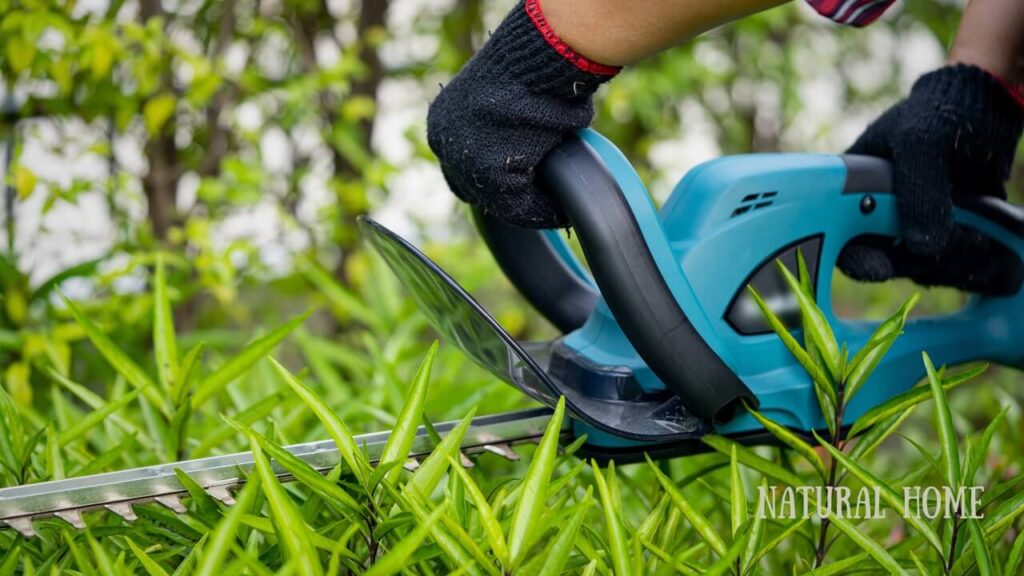 best rated cordless hedge trimmer