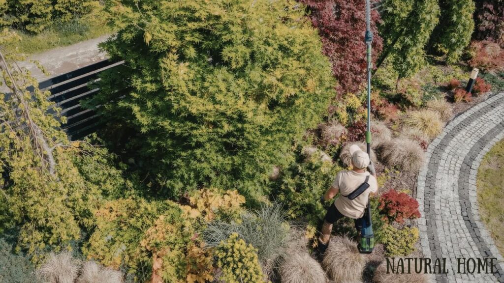 best cordless hedge trimmer uk