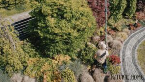 best cordless hedge trimmer uk