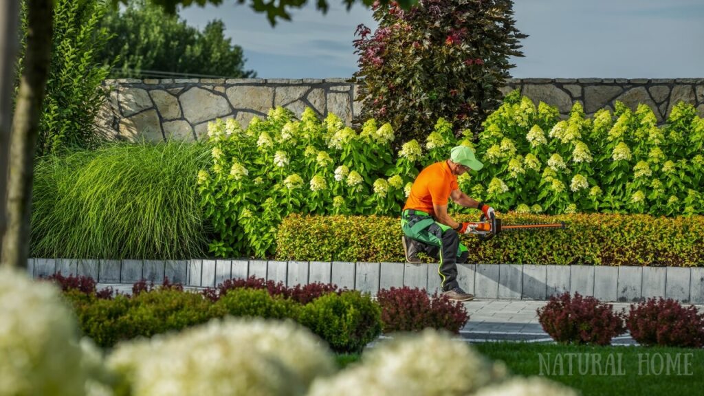 best extendable cordless hedge trimmer