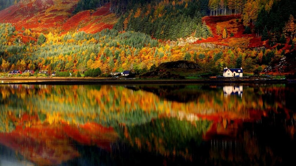 white cottage in Scotland with autumn trees behind