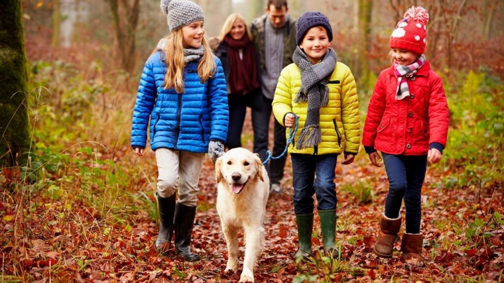 family with golden labrador walking through leaves