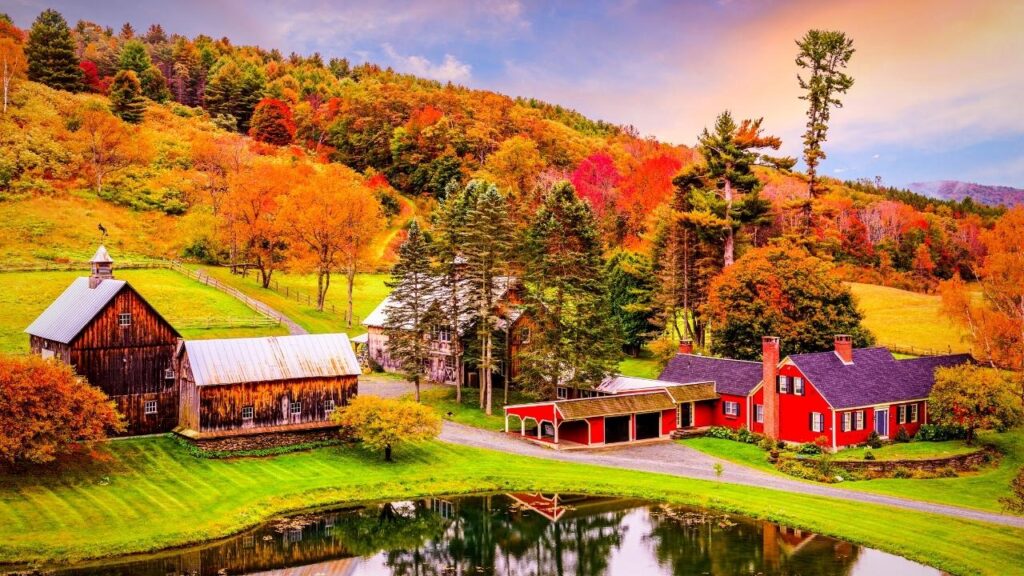 autumn coloured forest behind New England homes