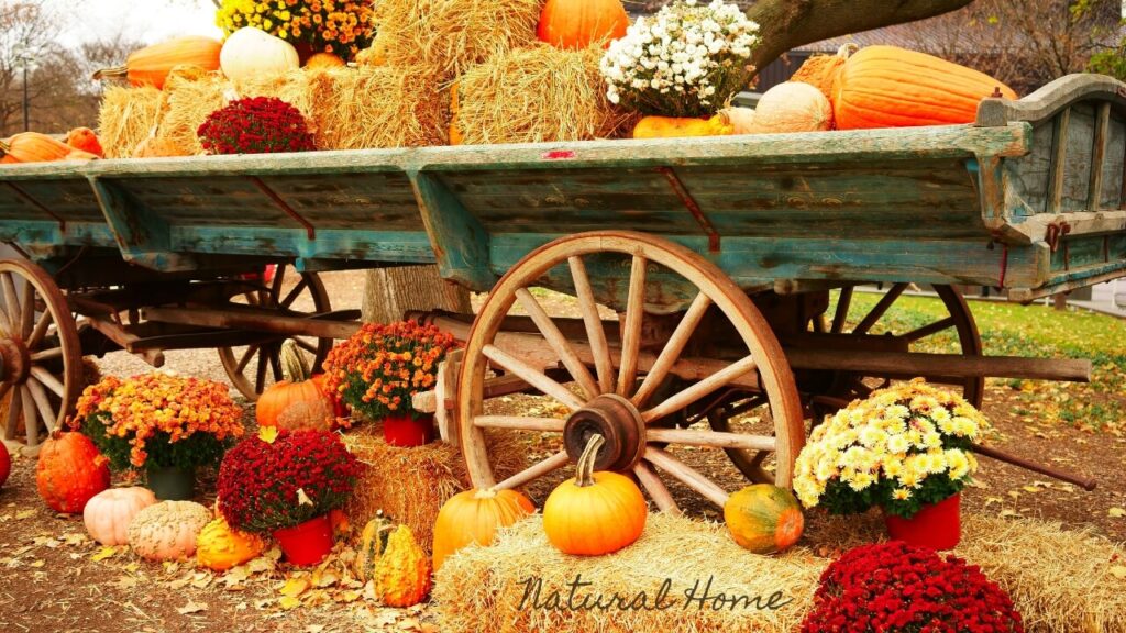 autumn home decor uk