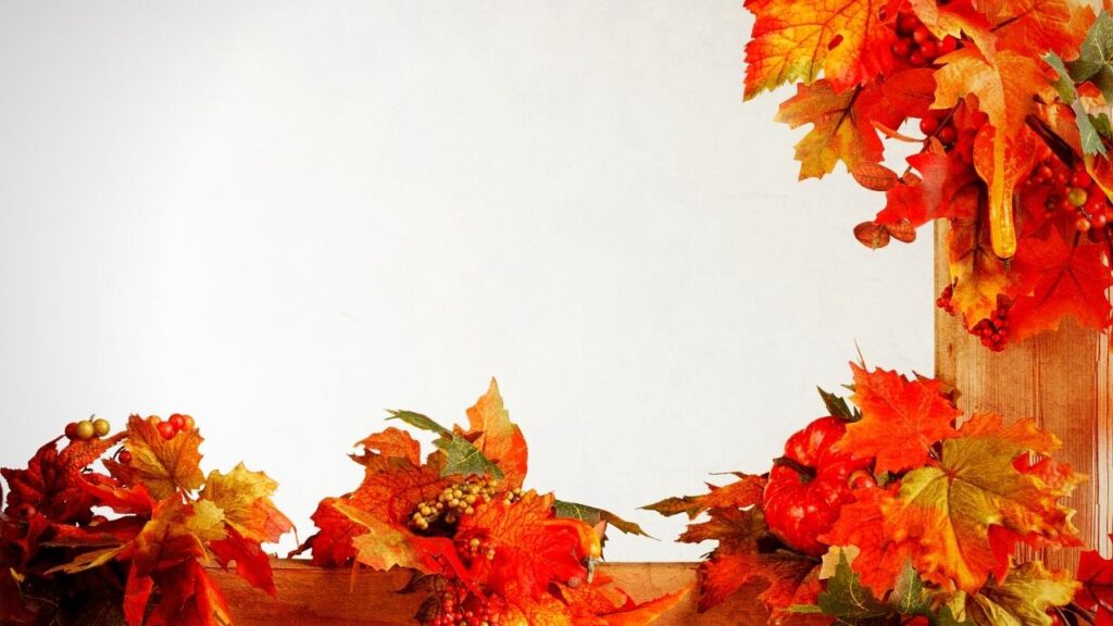 autumn garland round window frame