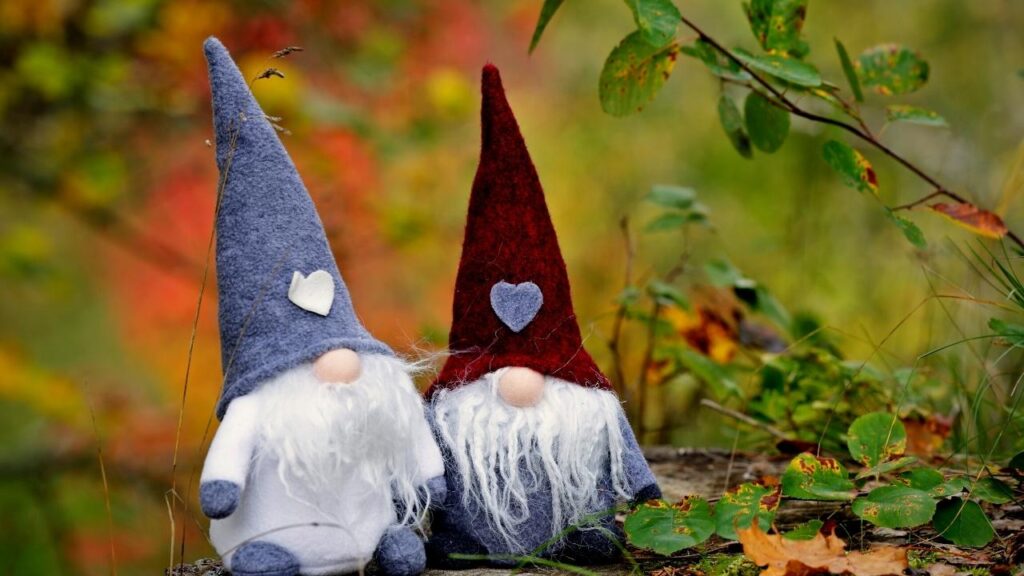 two gnomes in autumn garden