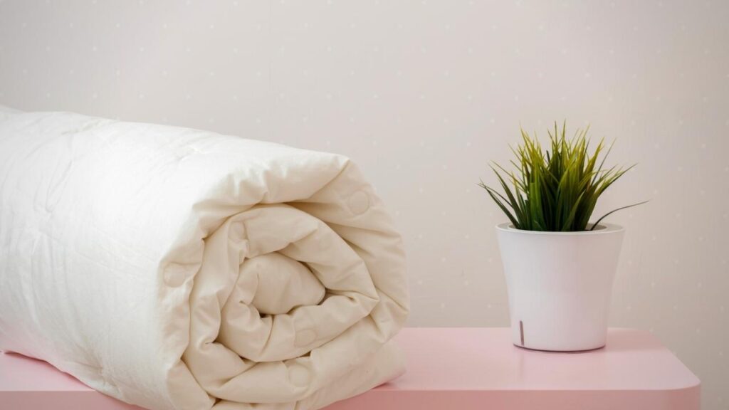 rolled up duvet beside plant