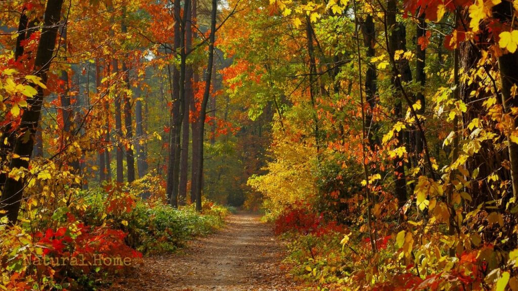 nice things about autumn