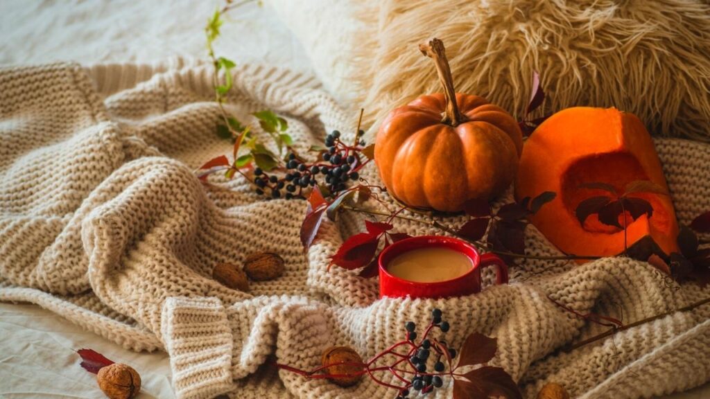 knitted blanket beside pumpkin