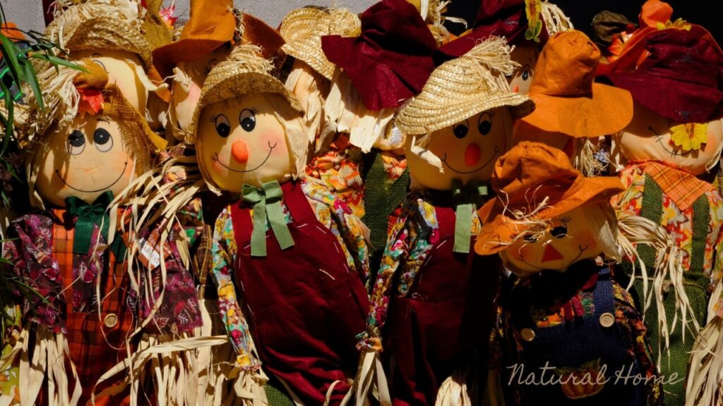 cute fall decor ideas