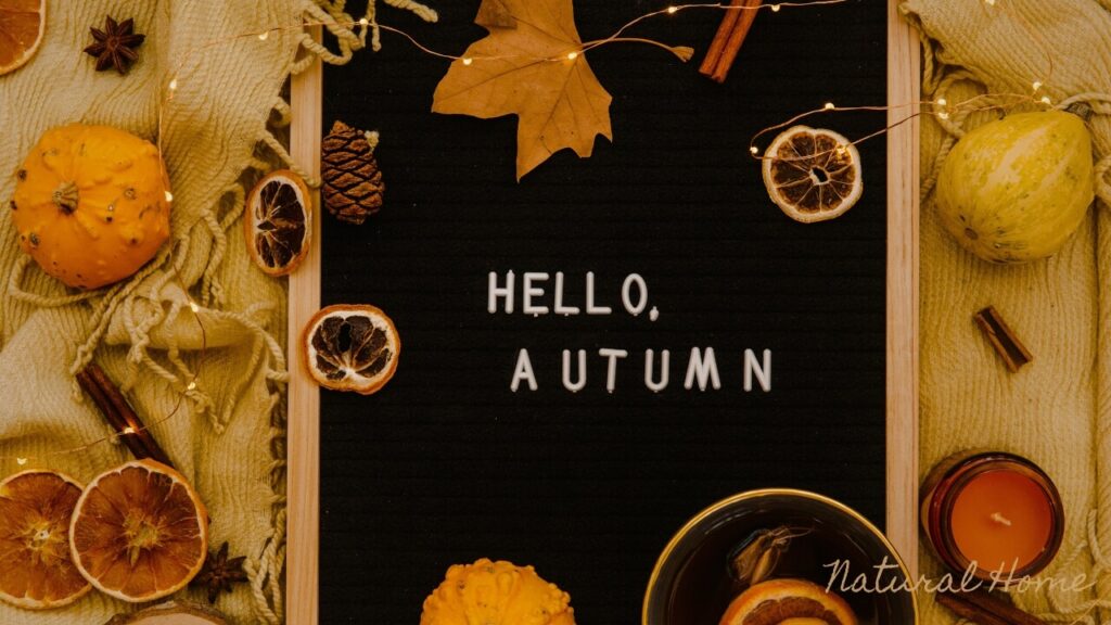 front porch fall decor ideas