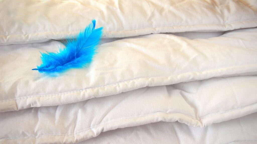 piled up duvets and a blue feather