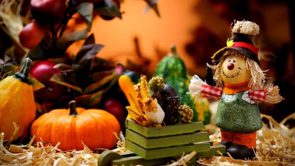 scarecrow, pumpkins and leaves on straw