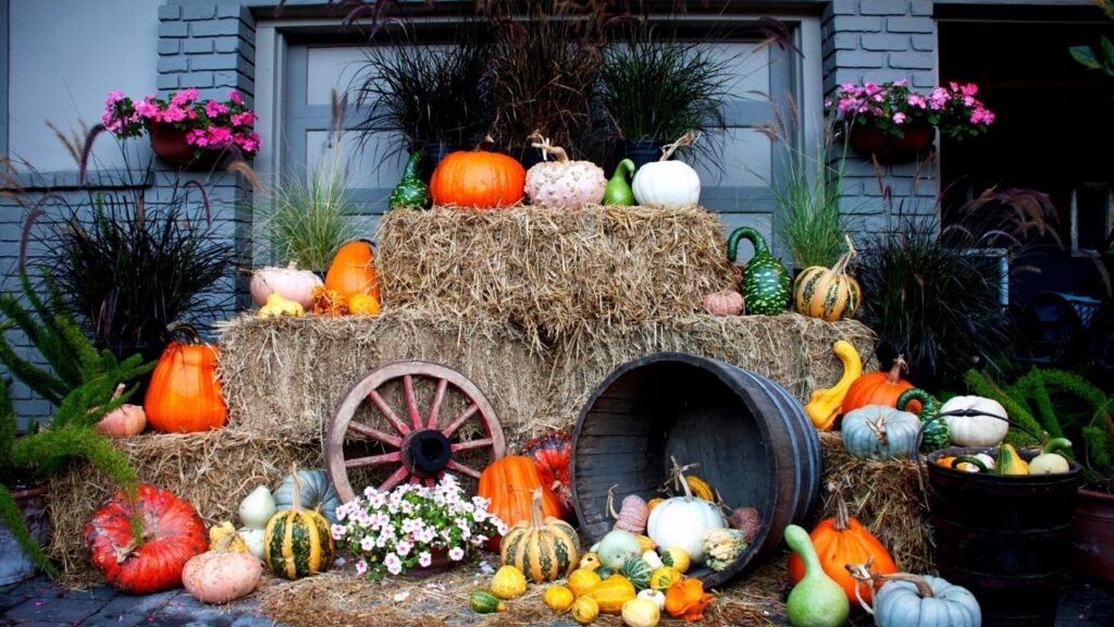 straw bales, flowers and pumpkins 