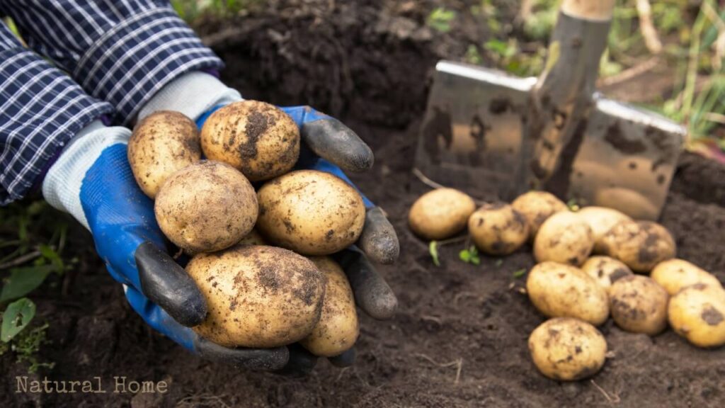 whats nice about autumn