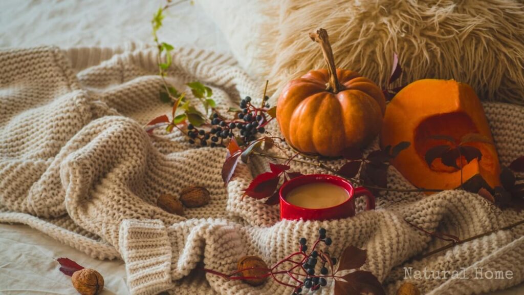 autumn season special things