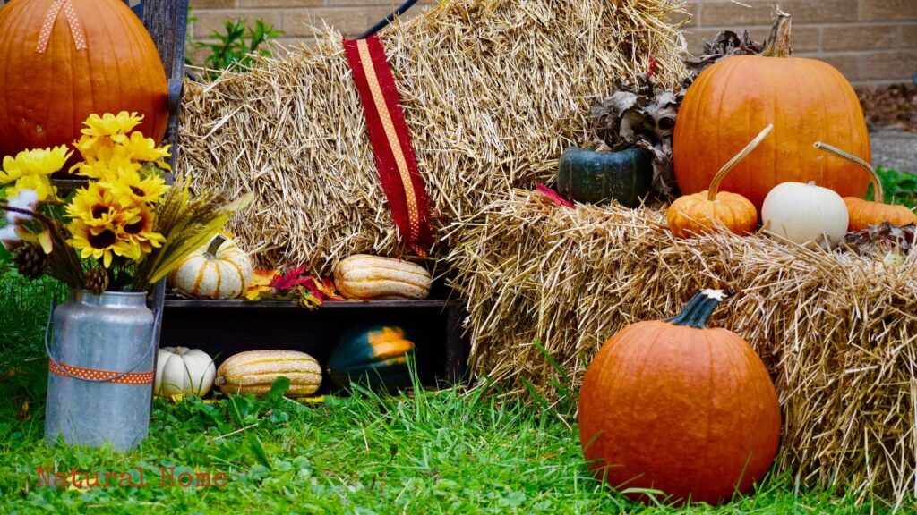 special events in fall