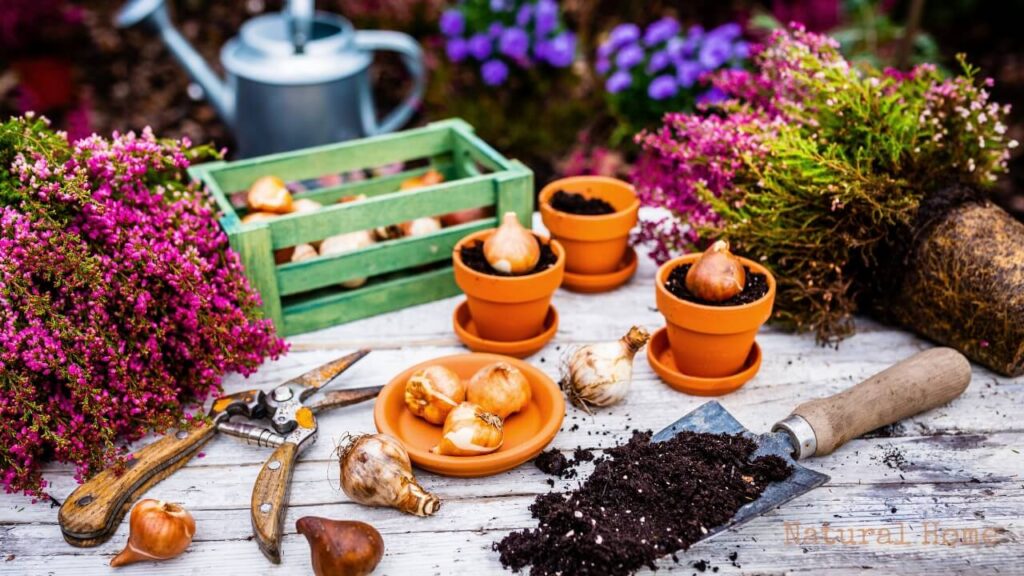 unique things about autumn