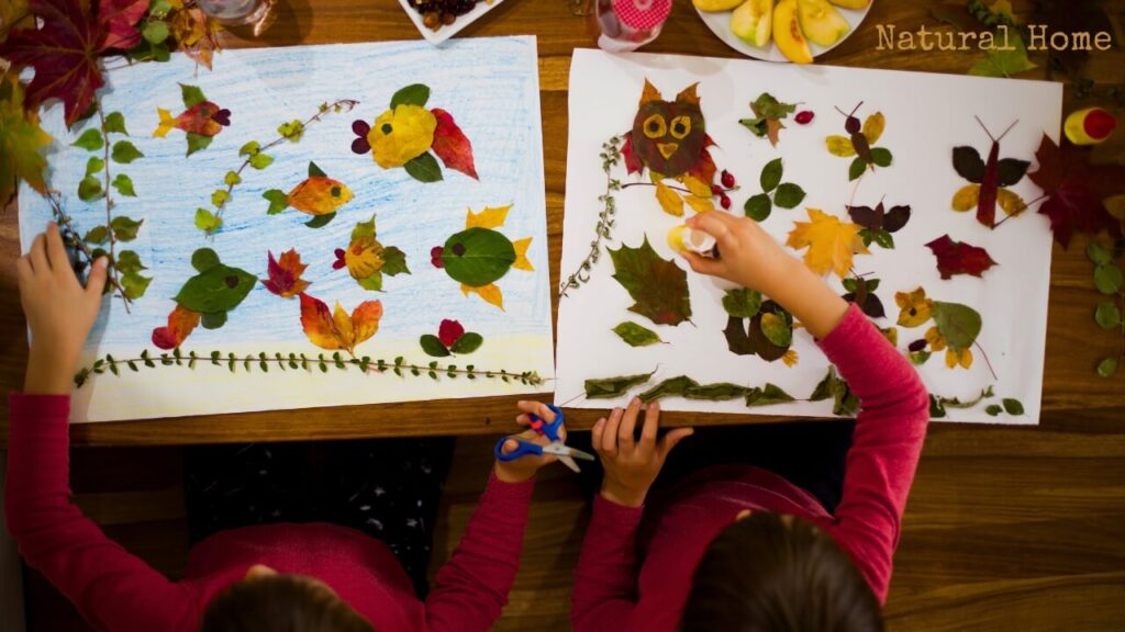 what is special about fall