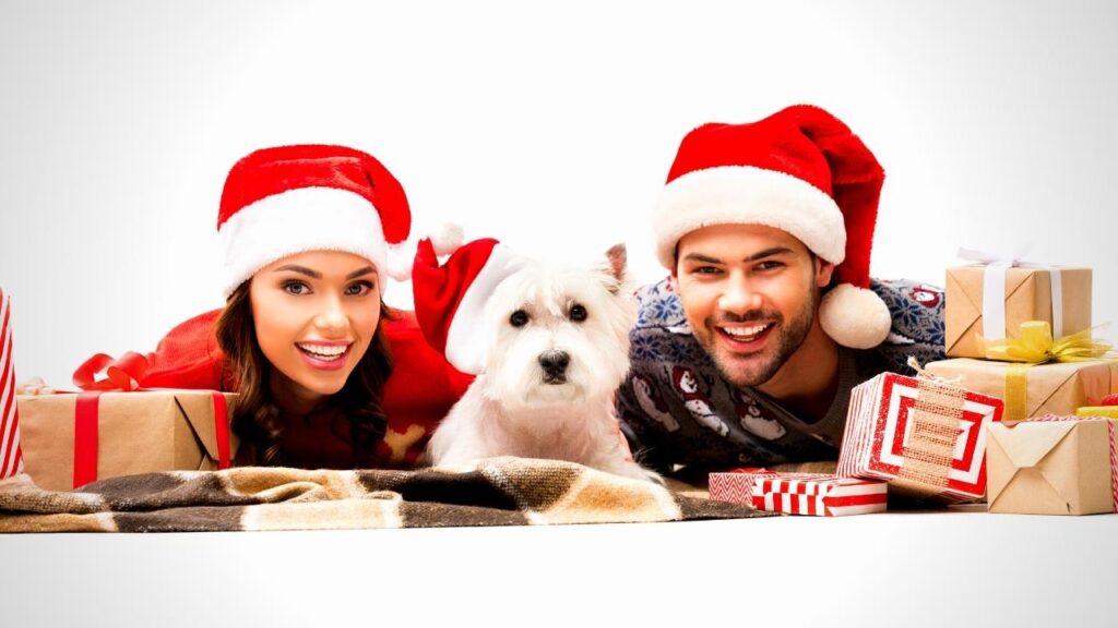 couple and white dog wearing Christmas hats