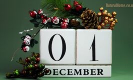 best natural advent calendar