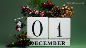 best natural advent calendar