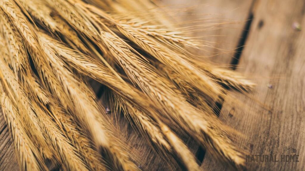 organic food industry uk