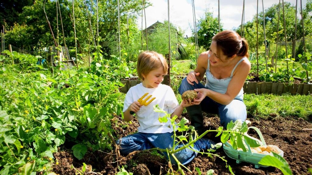 mother and son growing veg