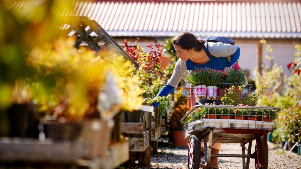 woman with trolley at garden centre