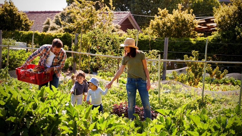 young family in vegetable patch