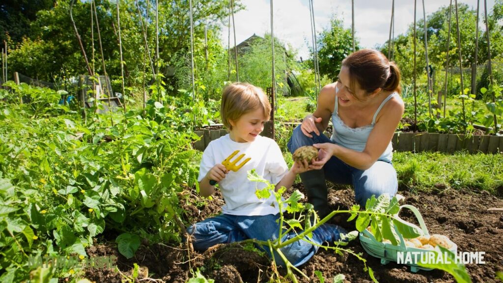 why buy organic seeds