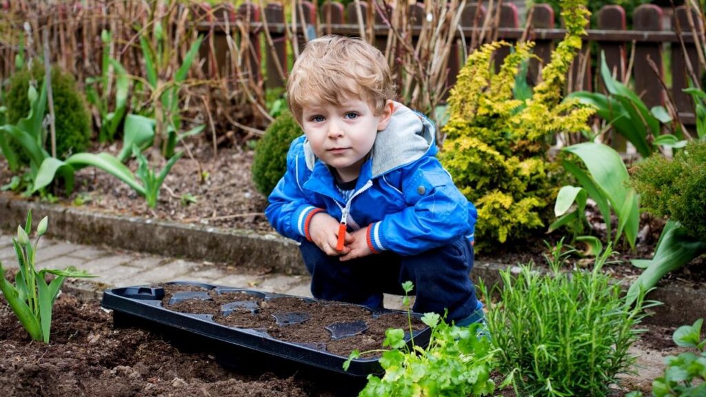 little boy planting seeds