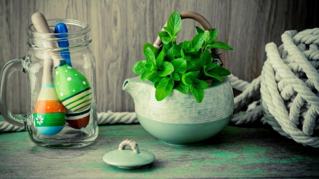 mint growing in green teapot