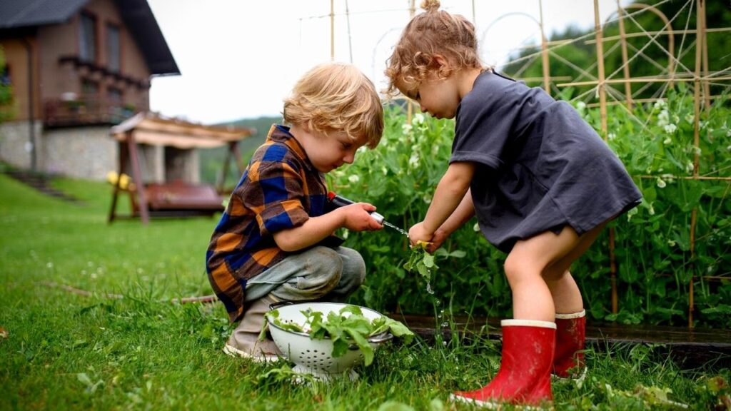 girl and boy picking peas