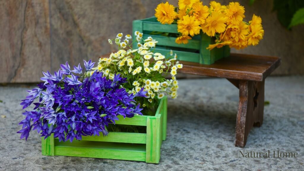 wildflower planting ideas