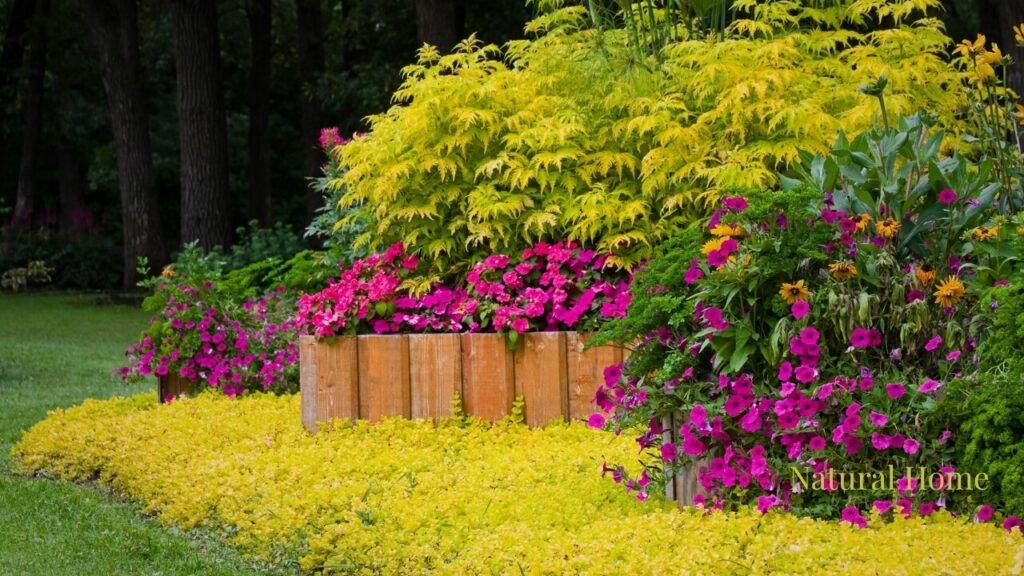 wildflowers in planters