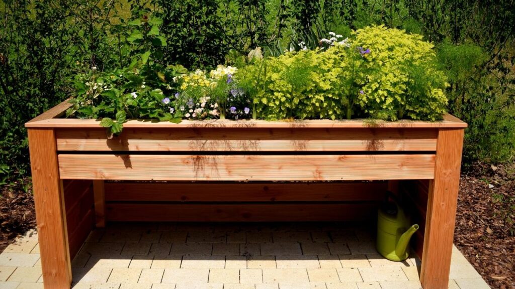 wildflowers in wooden raised bed