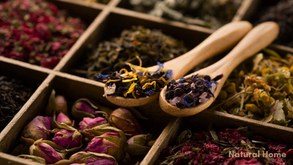 best loose leaf tea