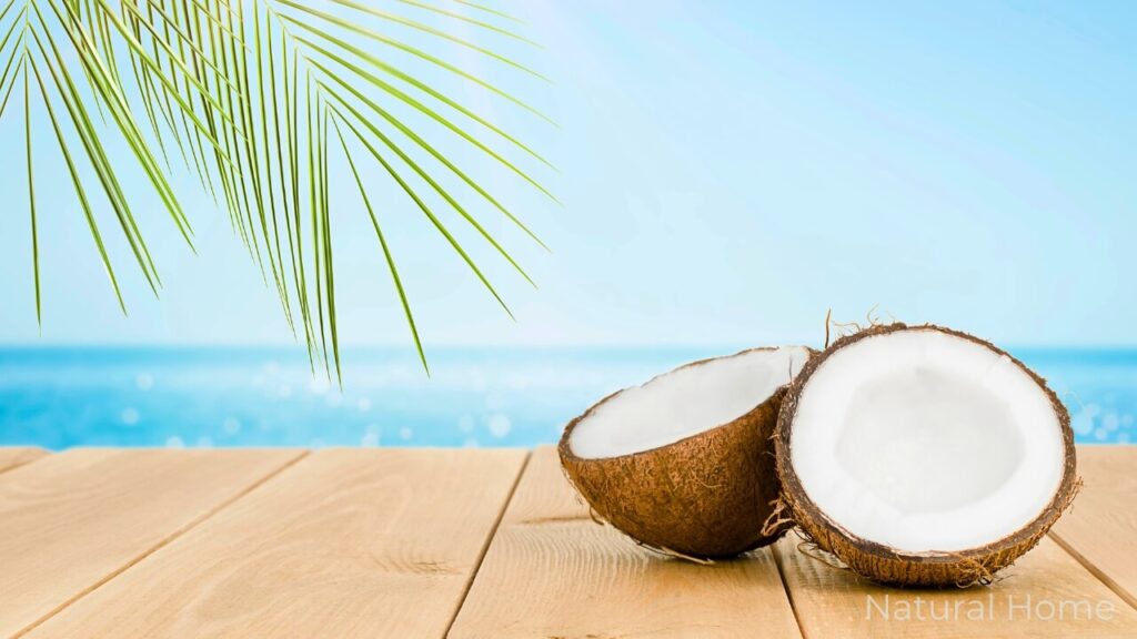 coconut oil beauty benefits